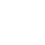 X-icon